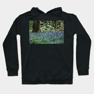 Bluebell Sea Hoodie